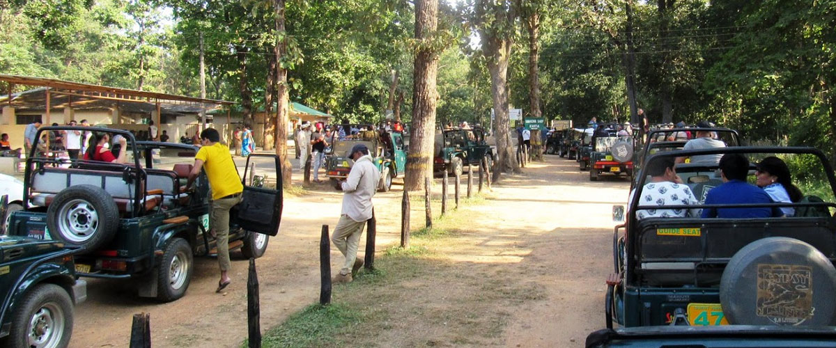 Kanha Tour Package