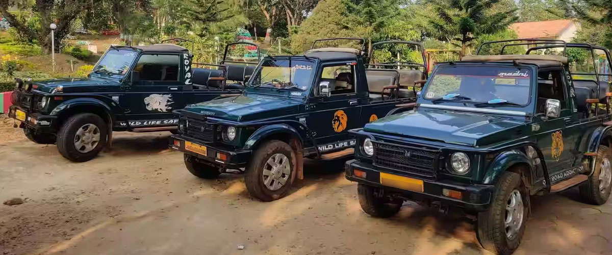 Pachmarhi Bandhavgarh Package