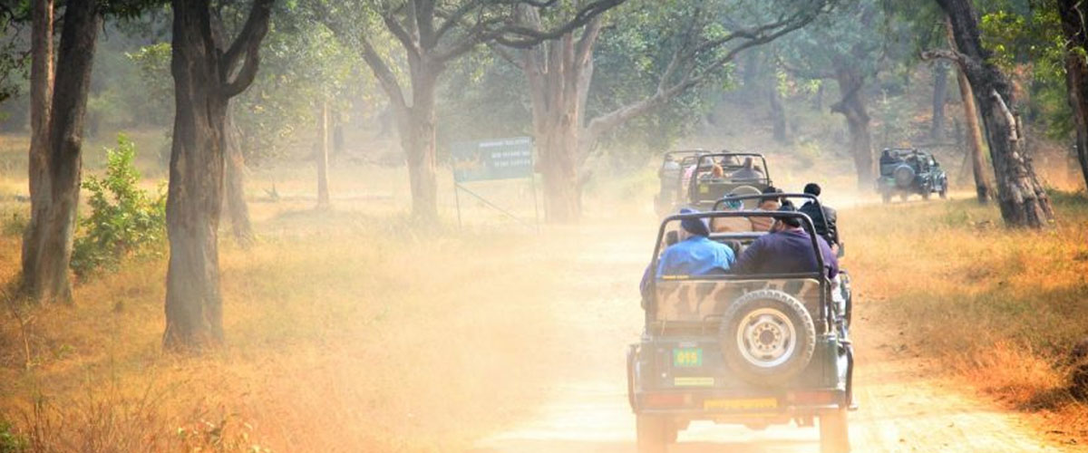 Pench Tour Package