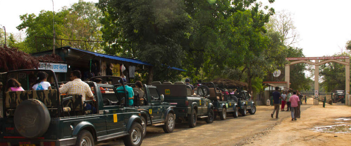 Pench Tour Package