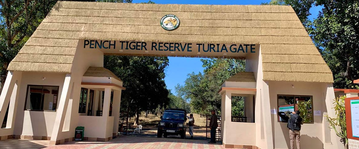 Pench Kanha Bandhavgarh