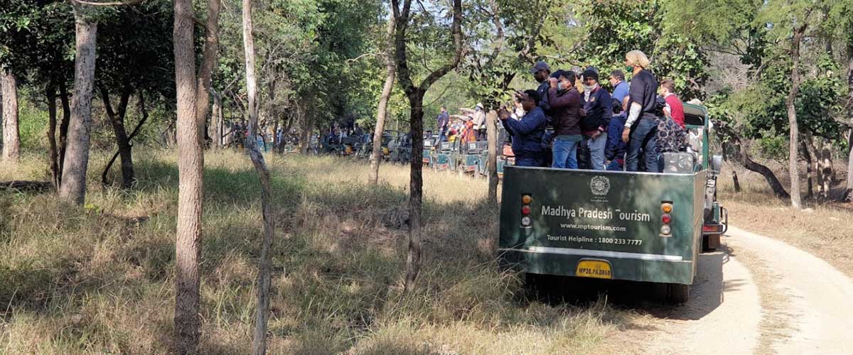 Pench and Kanha without Transportation