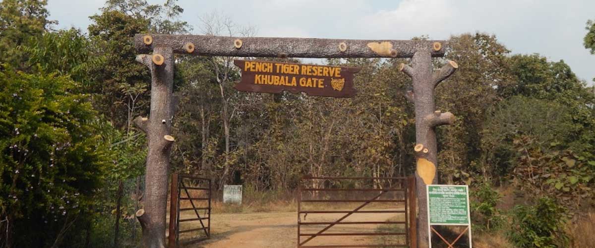 Pench and Kanha without Transportation