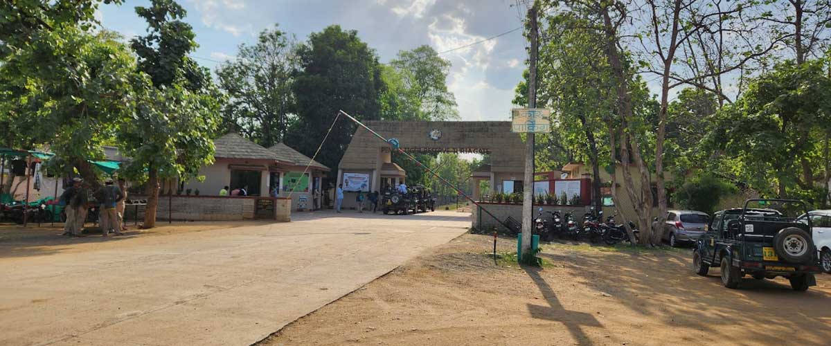 Pench and Kanha without Transportation
