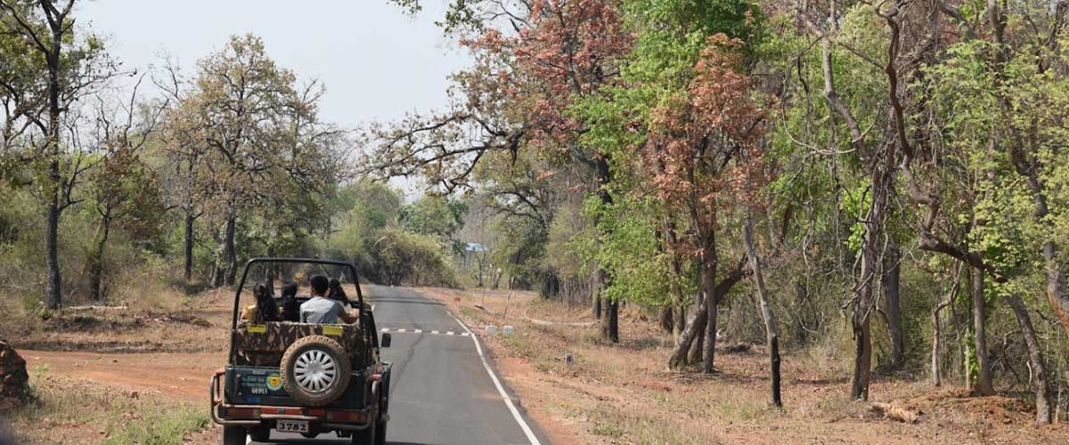 Tadoba Tour Package