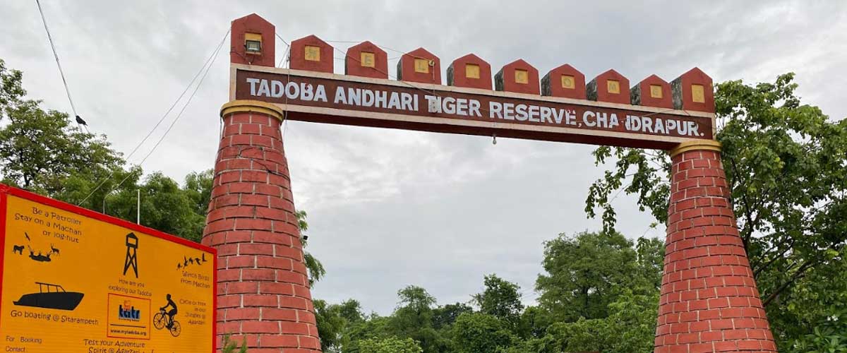 Tadoba Package