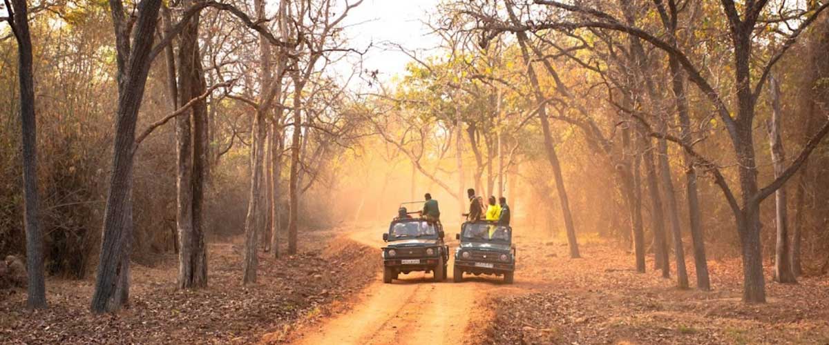 Tadoba Package